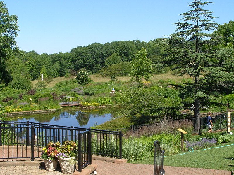 Overlooking a body of water with trees and plants around it