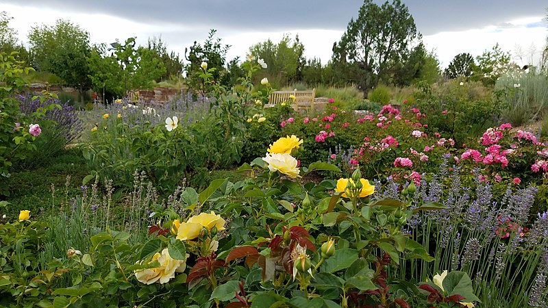 Multi-colored flowers in the foreground with a bench in the background