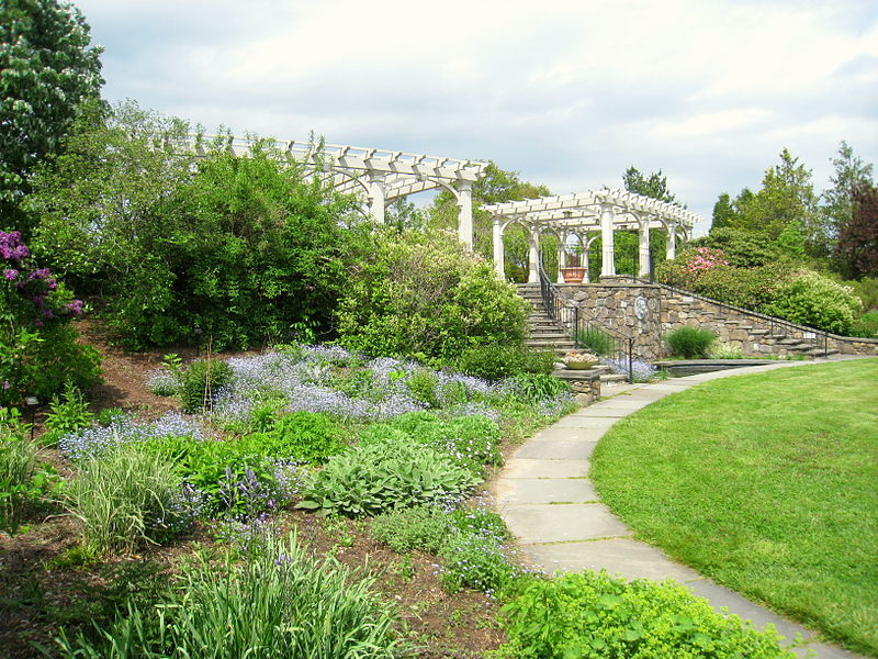 Path leading through a garden to stone steps with pergolas above