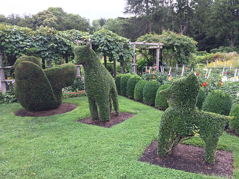 Topiary shaped in animal forms: bird, giraffe, deer