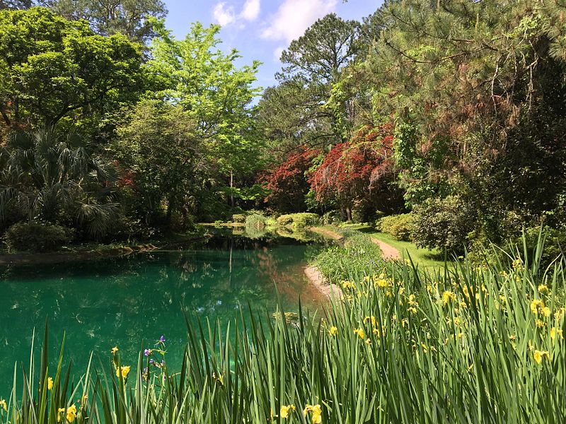 A pond surrounded by trees and flowers