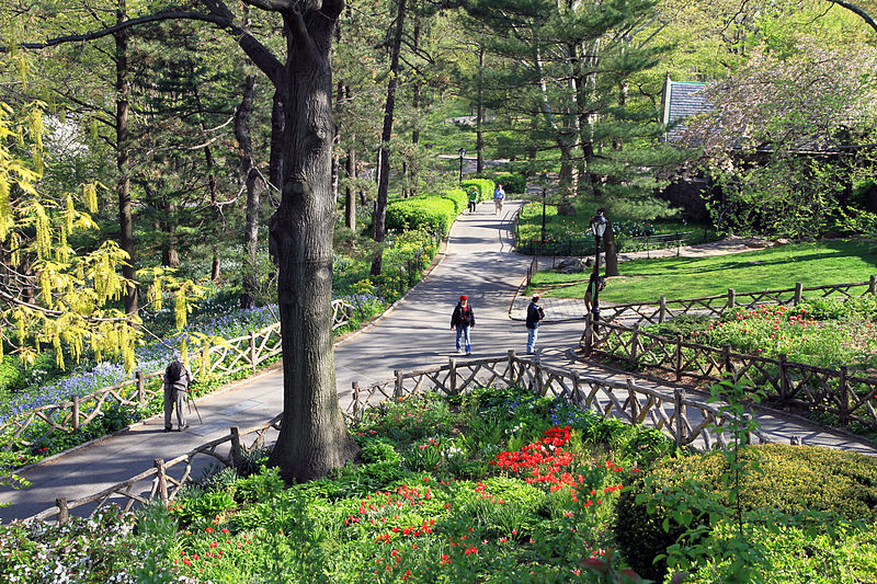 People walking on pathway through a park with tall trees and fenced in gardens