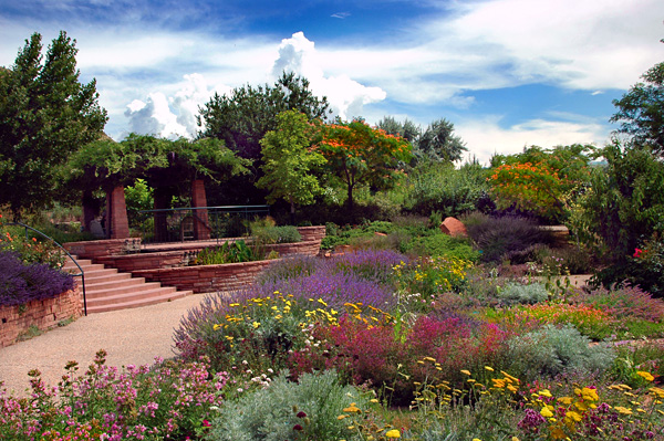 Colorful flowers with stone stairway in the background