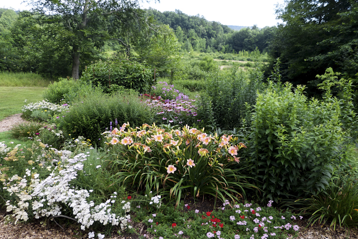 Scenic country landscape with flowers in the foreground