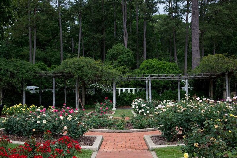 Rode garden with a brick pathway and a pergola