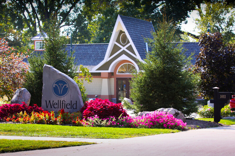 Cottage with a blue roof and a rock in the foreground that reads "Wellfield"