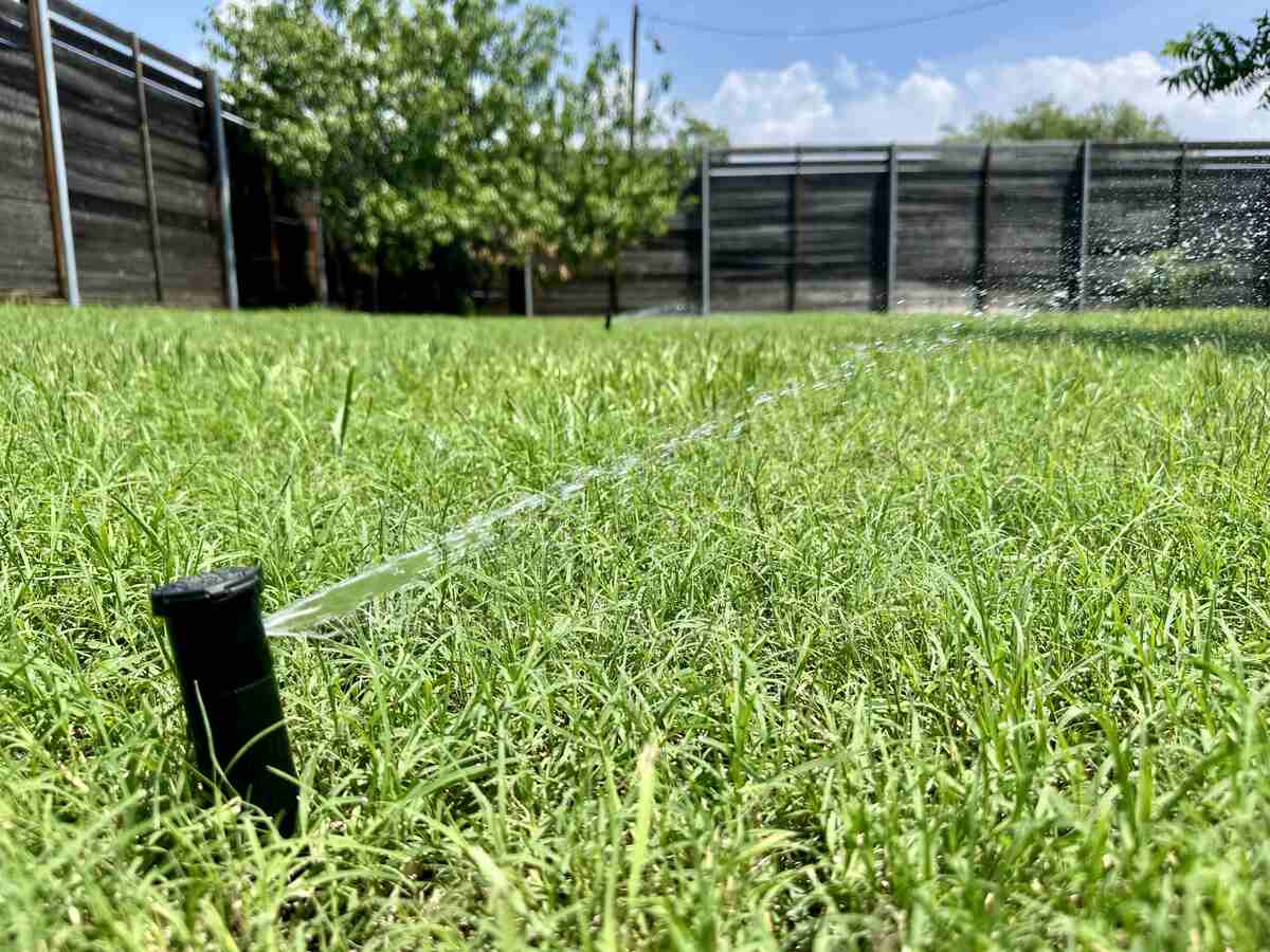 A black sprinkler watering a green lawn