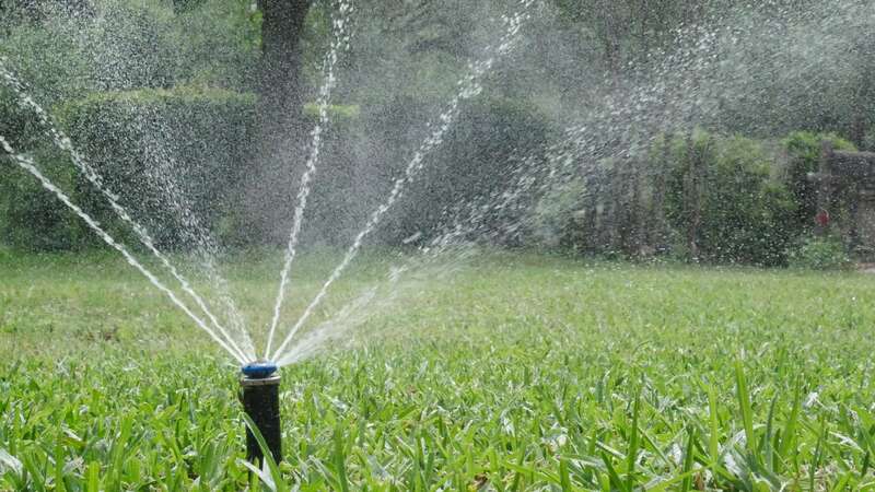 A black sprinkler watering a green lawn