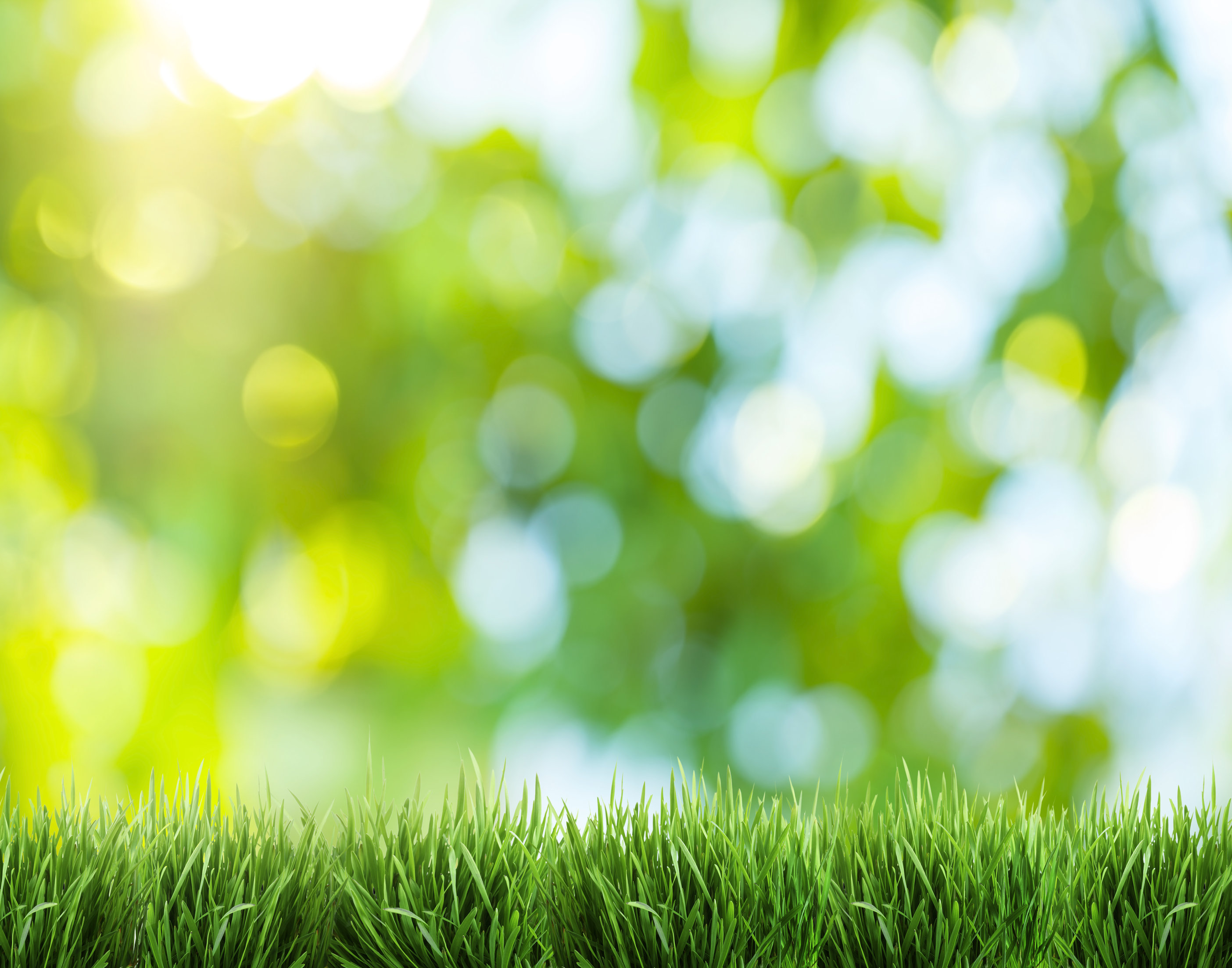 Lawn Care Service Prices 101 - Fairfax County