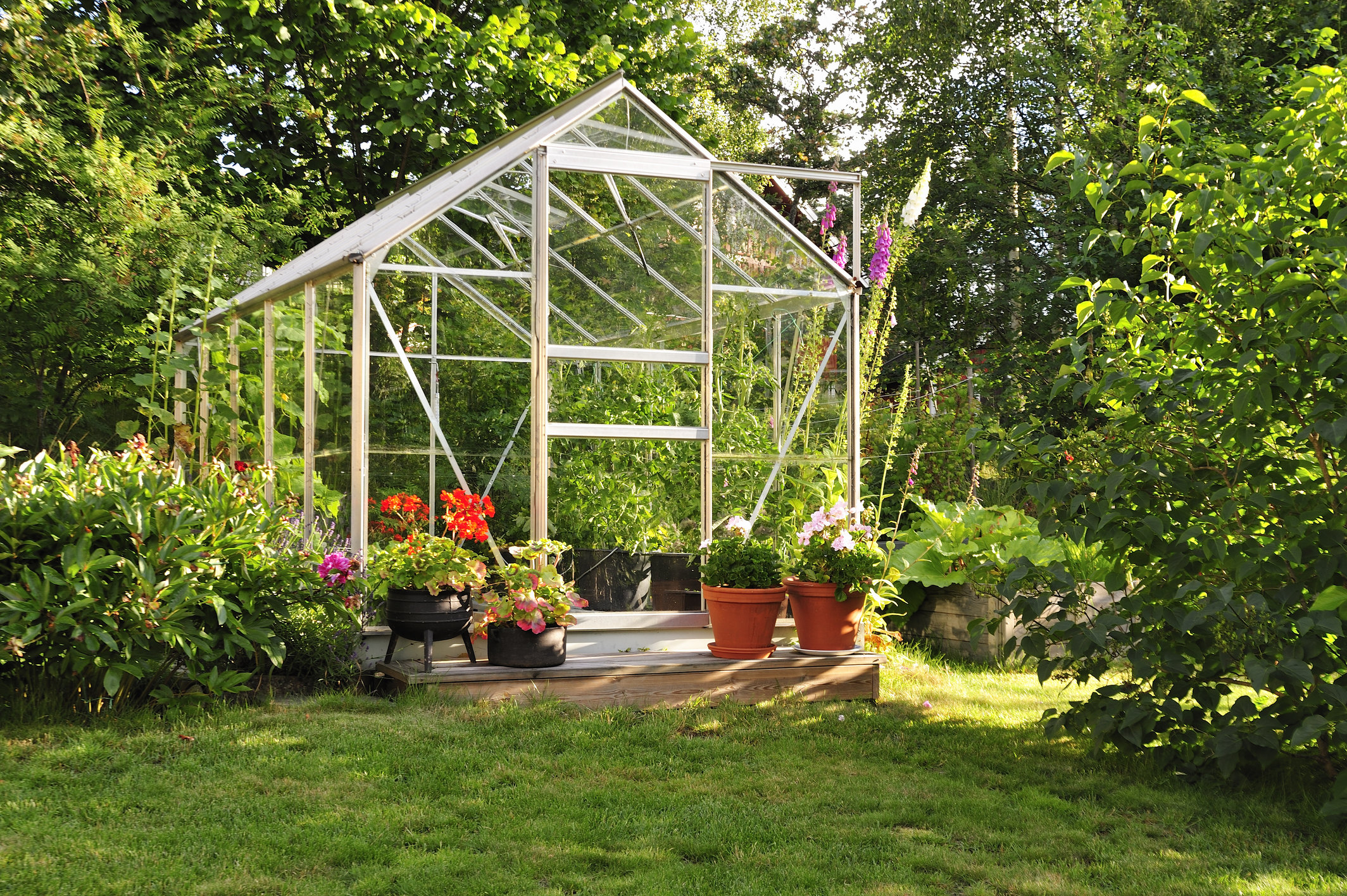 Turning a McLean lawn into full-production vegetable garden