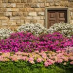 6 Affordable Ways to Make Your Flowerbed Pop