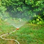 A Quick Guide to Overseeding Your Northern Virginia Lawn