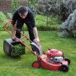 4 Good Reasons To Hire A Lawn Care Company