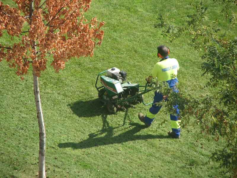 A professional using a core aerating machine