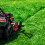 4 Good Reasons To Hire A Lawn Care Company