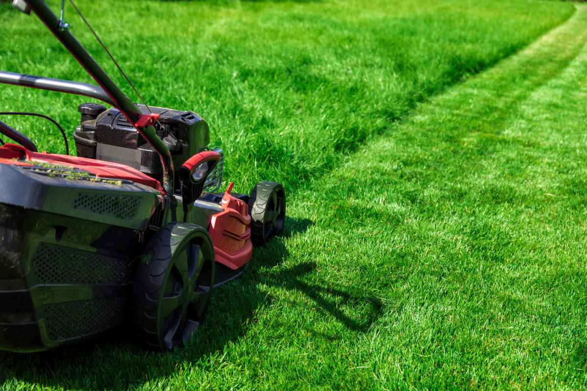 person mowing a lawn