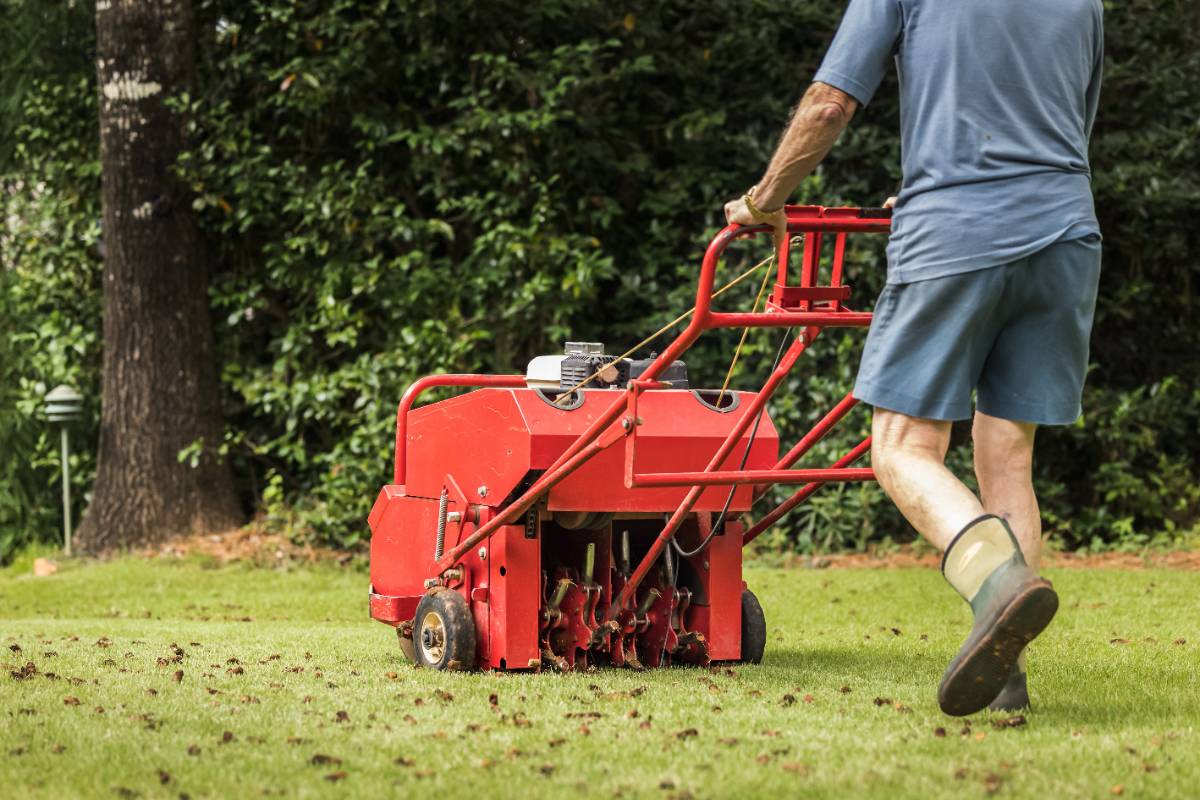Man using gas powered aerating machine to aerate residential grass yard.