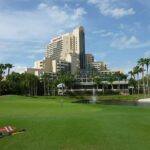 Winter Lawn Care in Orlando, FL