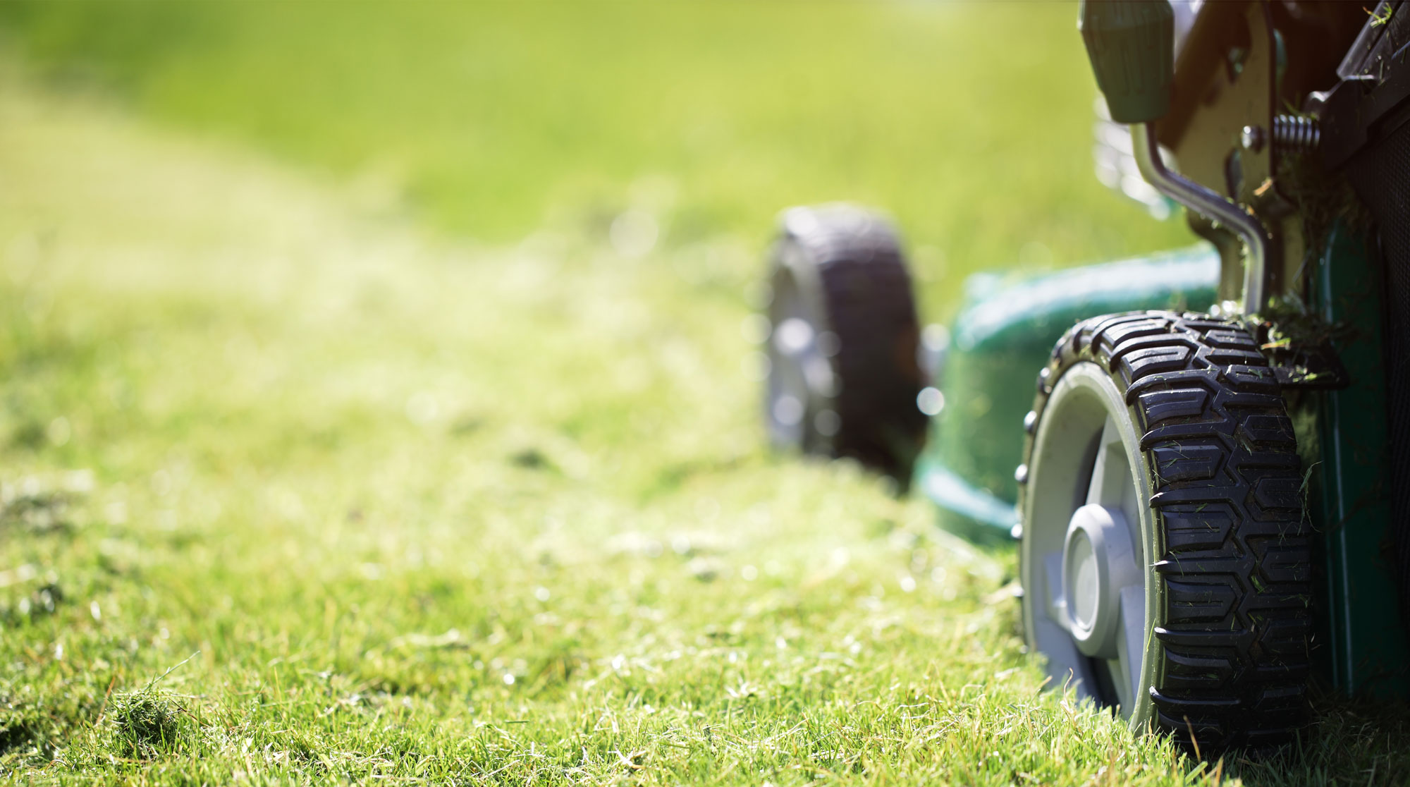 Tips for Better Lawn Care Marketing