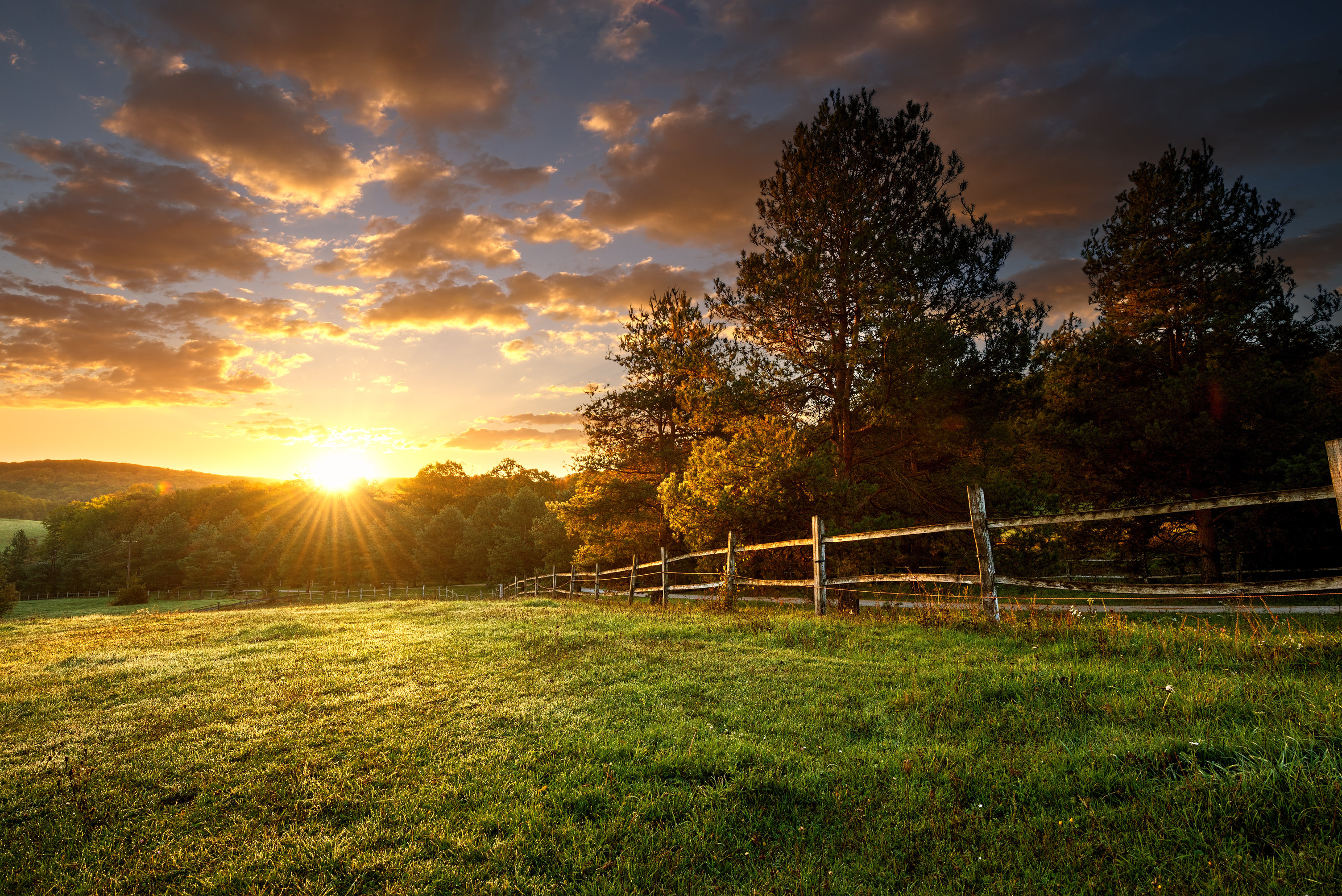 picture of a landscaped lawn