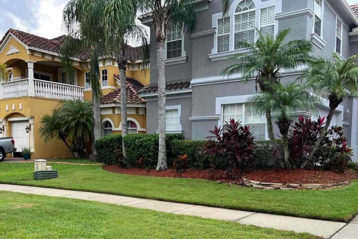 Front yard of a Florida home with neatly trimmed green lawn, palm trees, shrubs, and well-maintained landscape beds.