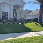 Front yard of a well-maintained home with lush green grass, neat landscaping, and palm trees.