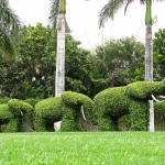 A Guide To Specialty Landscaping Services