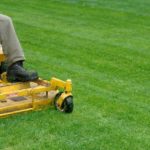 5 Common Myths About Lawn Care in Austin