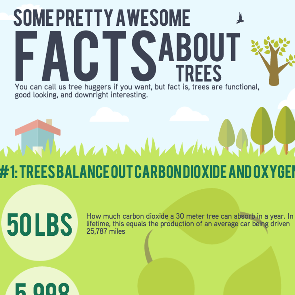 trees infographic