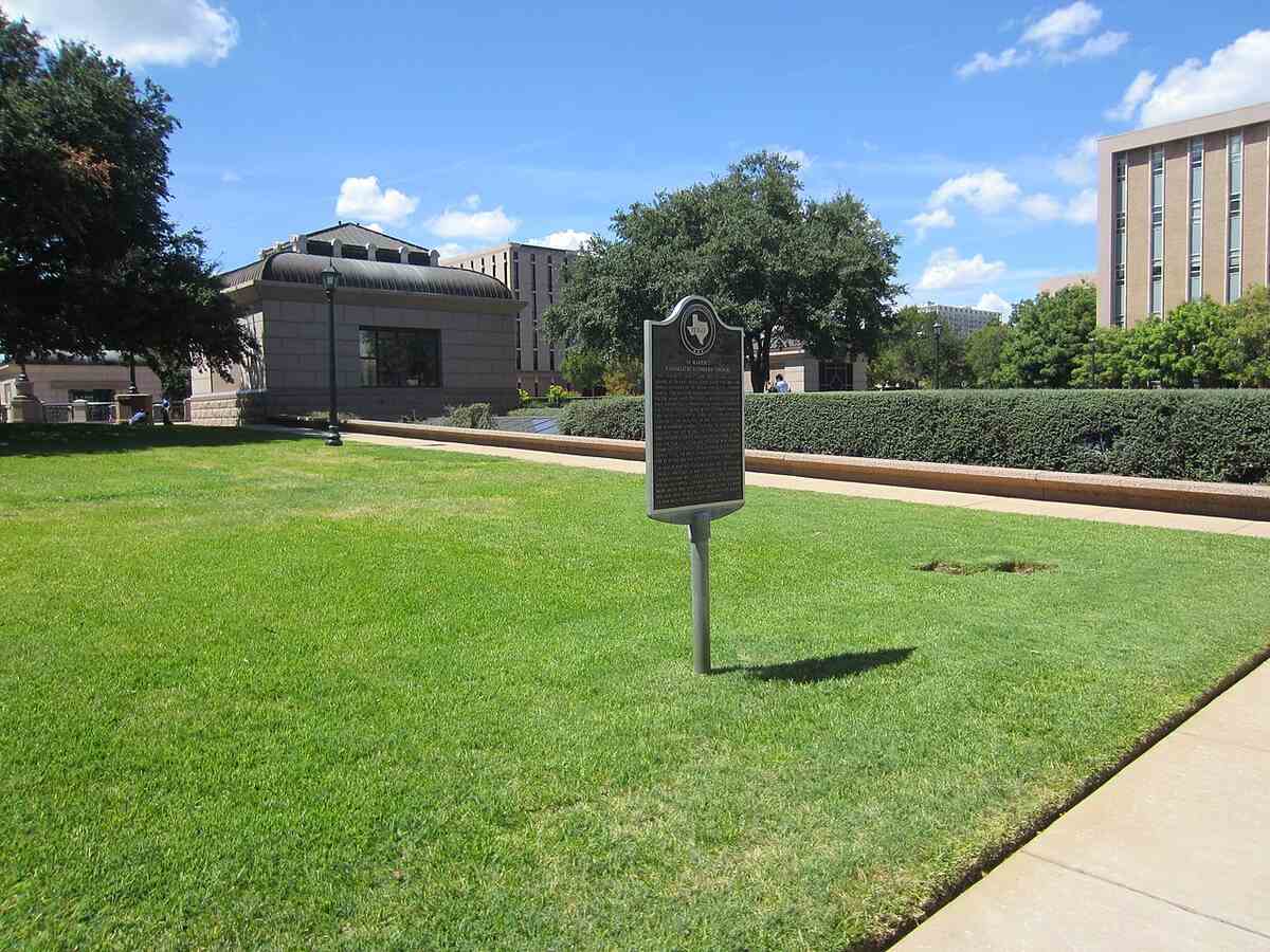 A beautiful lawn in Austin Texas