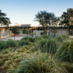 7 of the Coolest Landscape Designs in Austin