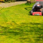 A Guide to Summer Lawn Care in Houston, TX