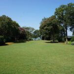 Guide to Fall Lawn Care in Dallas, TX