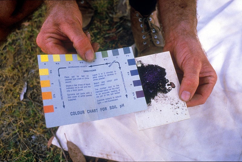 Man testing soil for pH