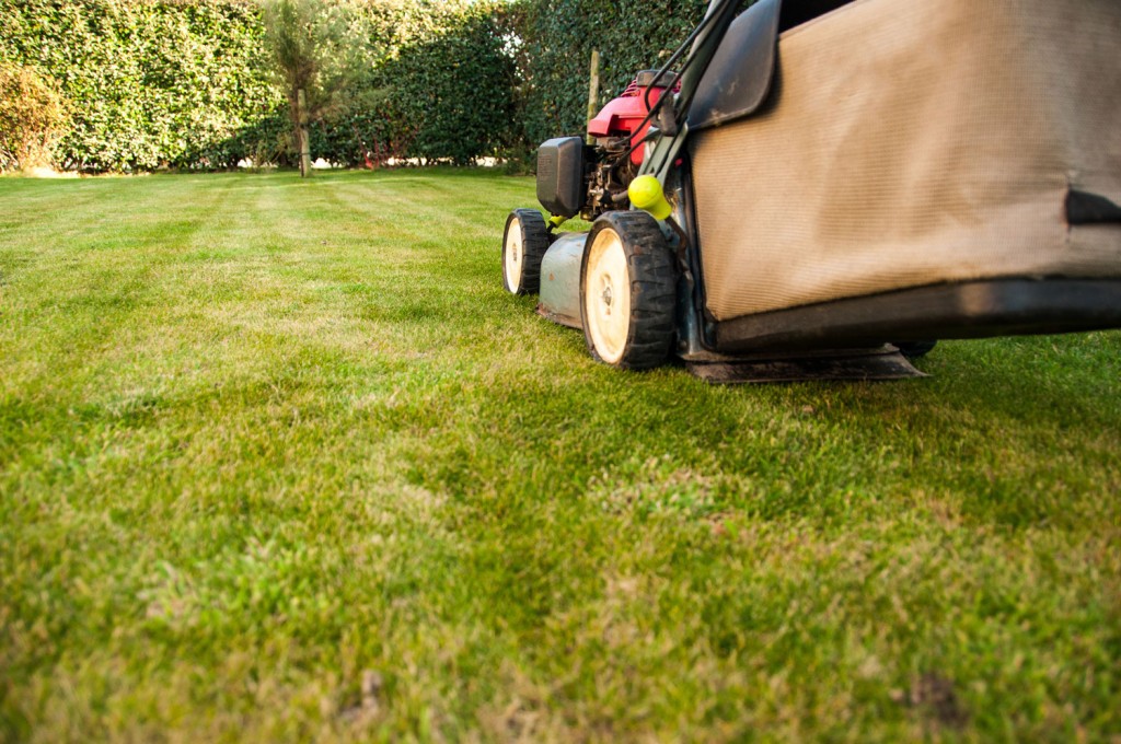 The Definitive Guide to Purchasing Lawn Care Insurance in 2017