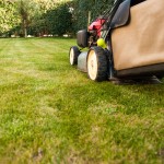 The Definitive Guide to Purchasing Lawn Care Insurance in 2017