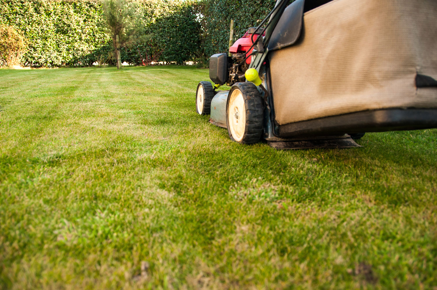 Lawn Care Insurance