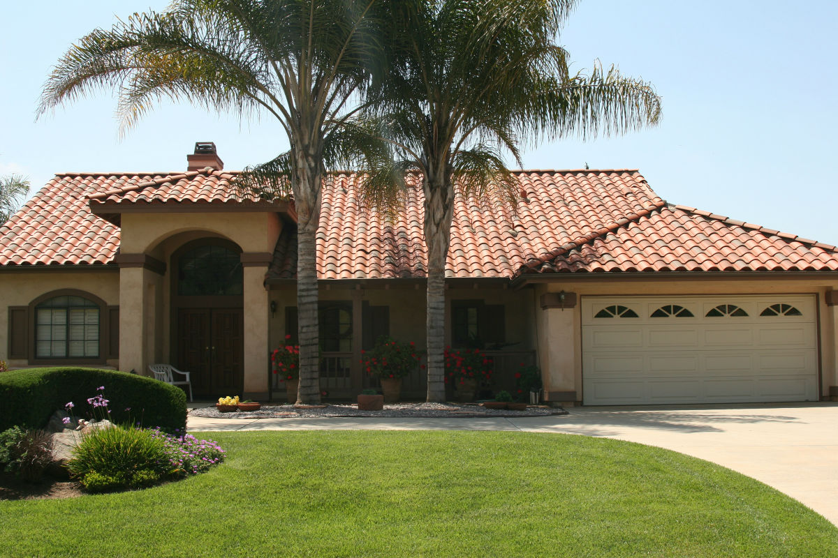 summer-lawn-care-in-dallas