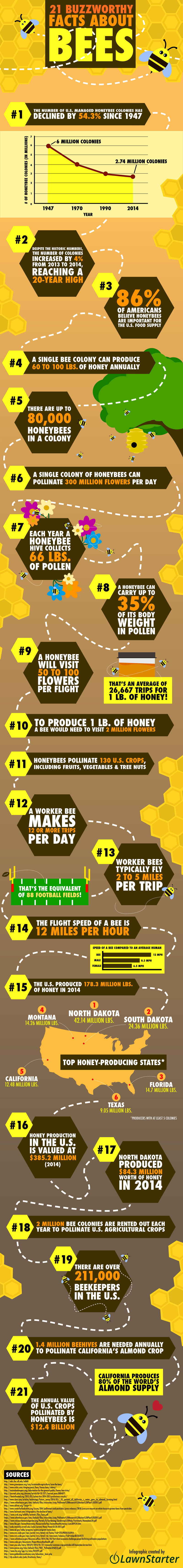 Nine buzzworthy facts about the honeybee