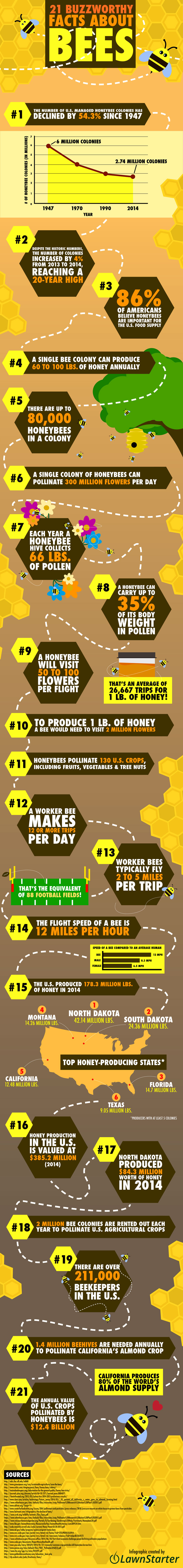 21 Buzzworthy Facts About Bees — Lawnstarter.com 21 Buzzworthy Facts About Bees
