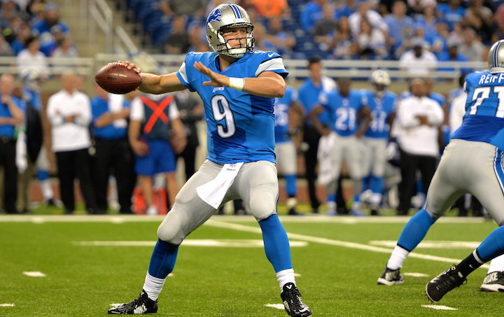 Ford field grass or turf #6
