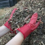 The 7 Best Mulches for Winter in Charlotte, NC