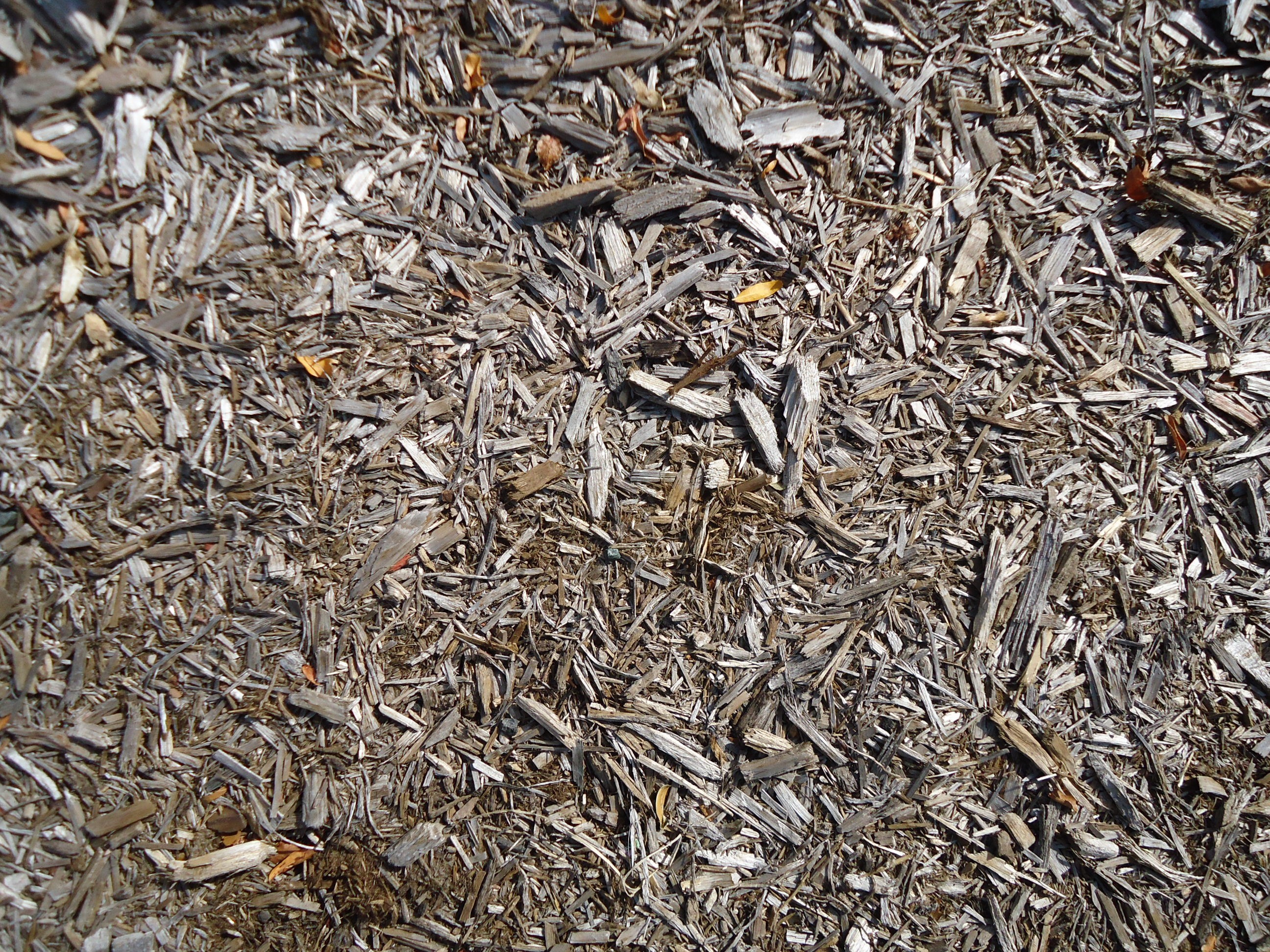 The best mulches for winter in charlotte nc lawnstarter The best mulches for winter in charlotte nc lawnstarter