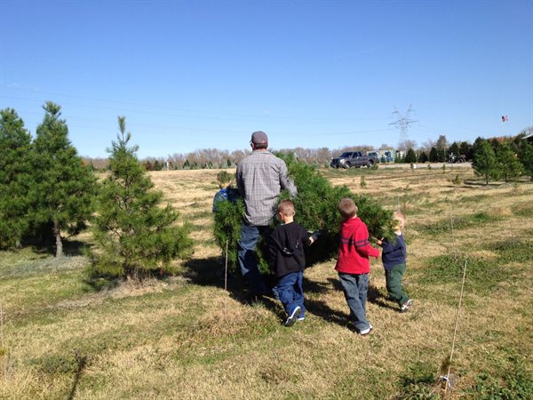which county produces one fourth of the christmas trees which county produces one fourth of the christmas trees