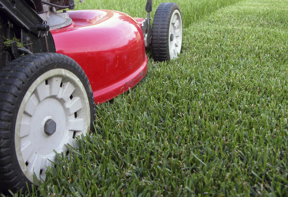 lawn mowing