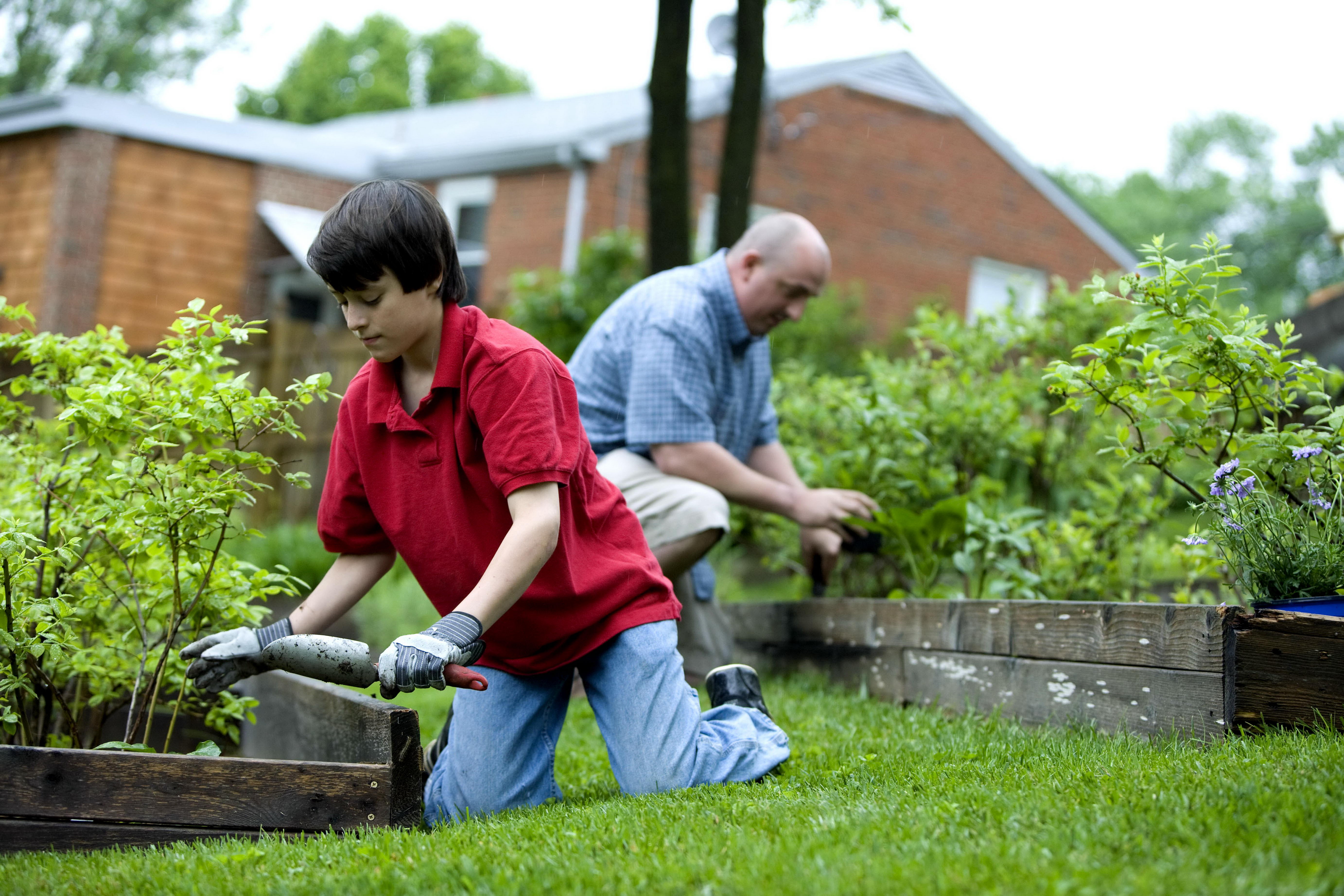 Backyard boy. Сады и люди. Подростки в огороде. Дачные работы. Работа в саду.