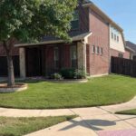 The 4 Most Common Grass Types in Fort Worth, TX