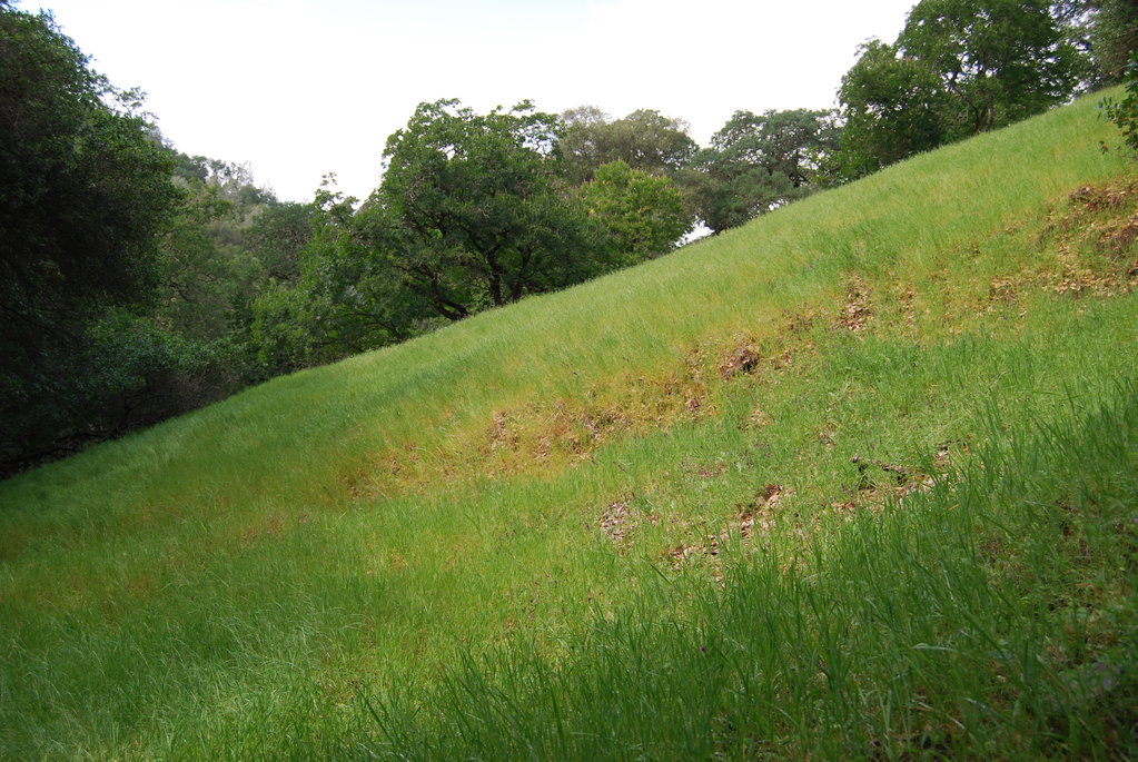 slanted_hillside_3_by_xxtgxxstock-d8ox0r6