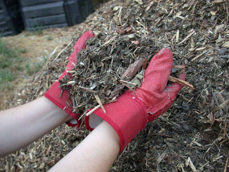 Man wearing red holding mulch