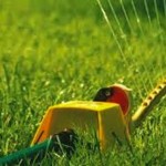 A Quick Guide to Spring Lawn Care in Charlotte, NC